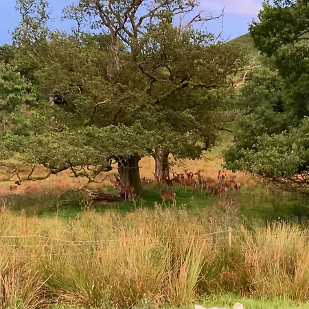 Secluded Beckside Cabins At The Edge Of Ullswater Lake Campeggio Penrith